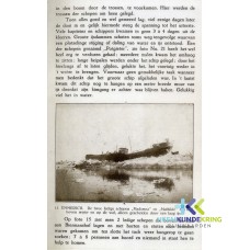 WinterOpDenRijn.25 coll RWS HK Rijnwaarden F00001048